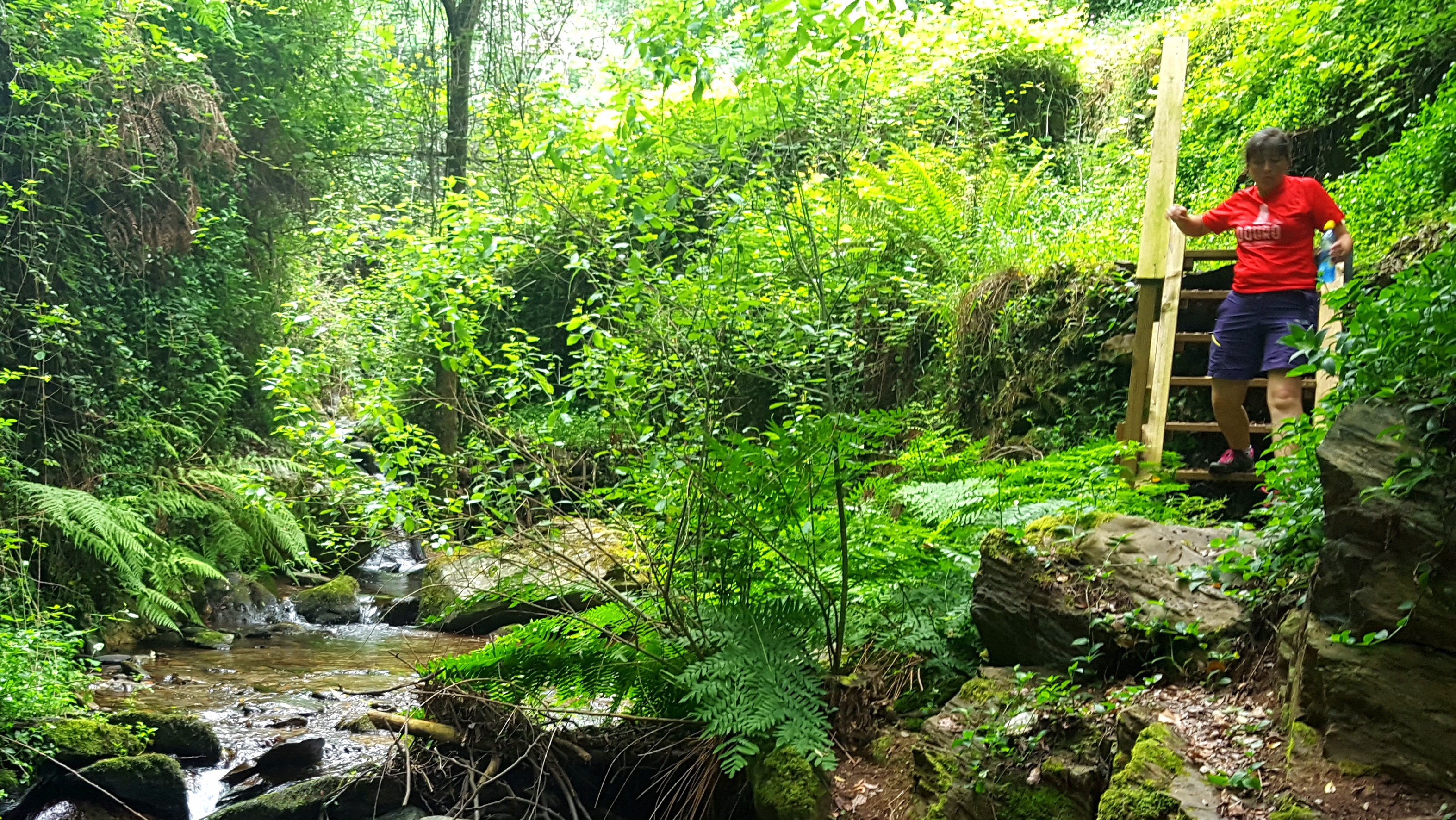 De Penacova a Sintra.